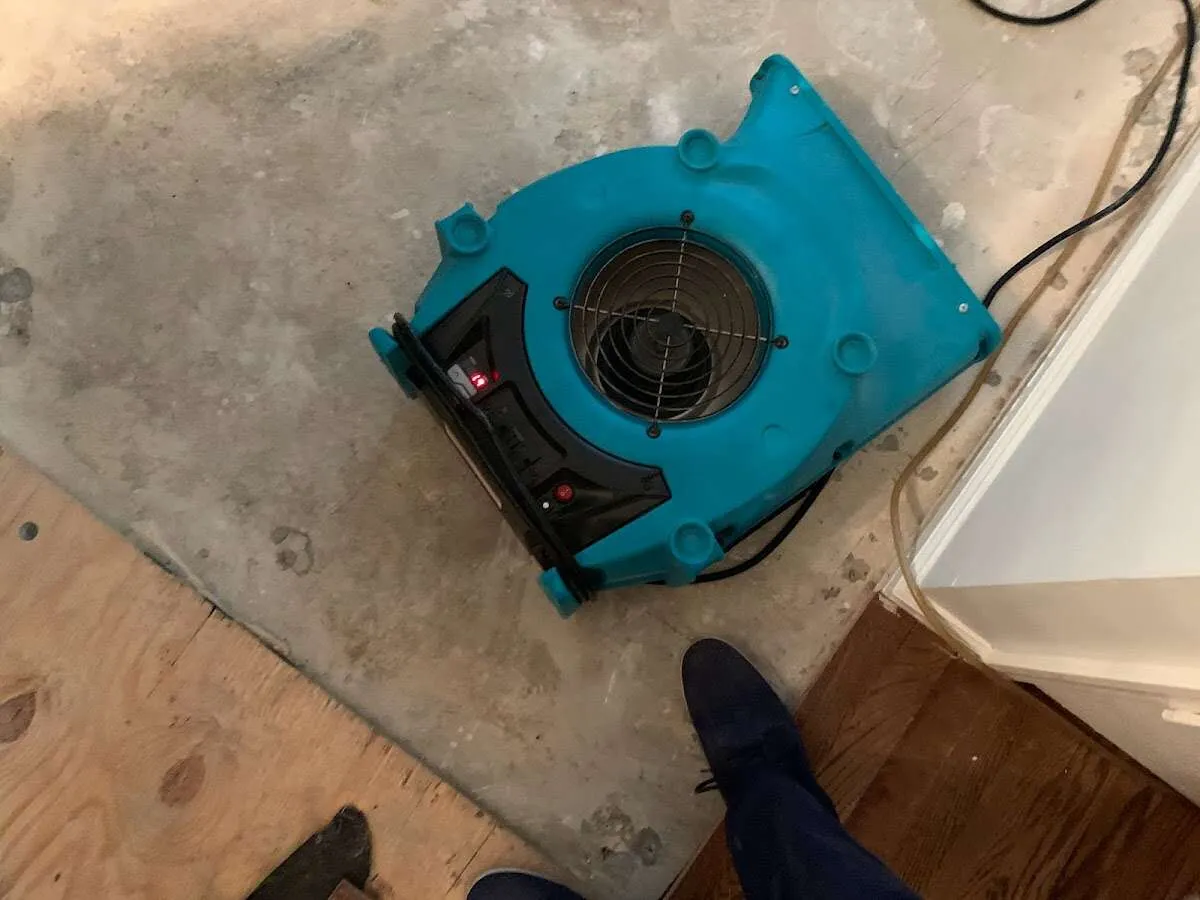 Air mover drying subfloor during Commercial Water Damage Restoration in Havre de Grace